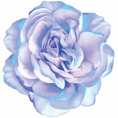 blue rose